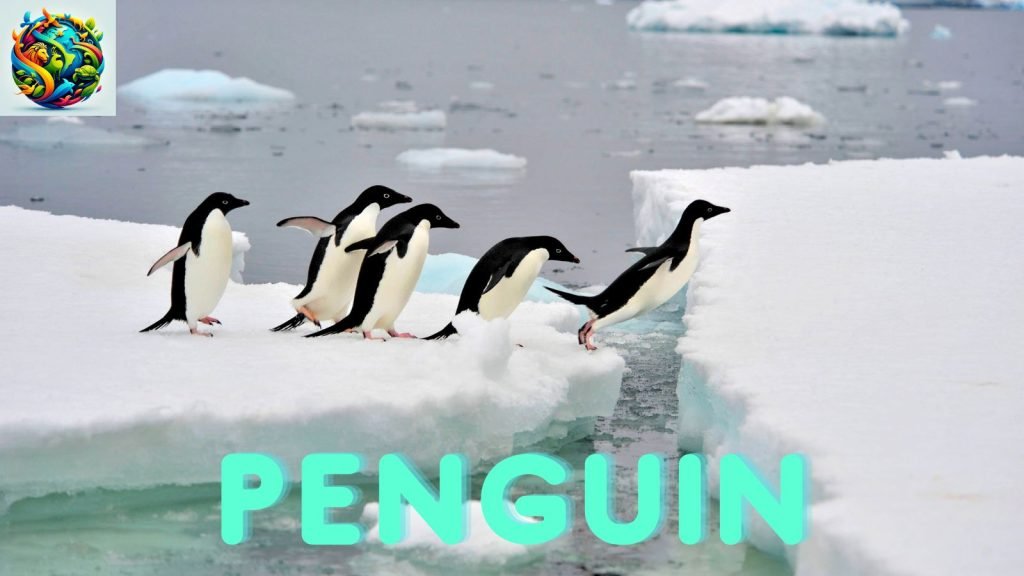 penguins