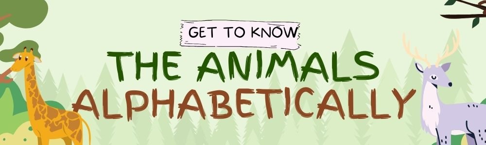 Alphabetical Order Living Animal