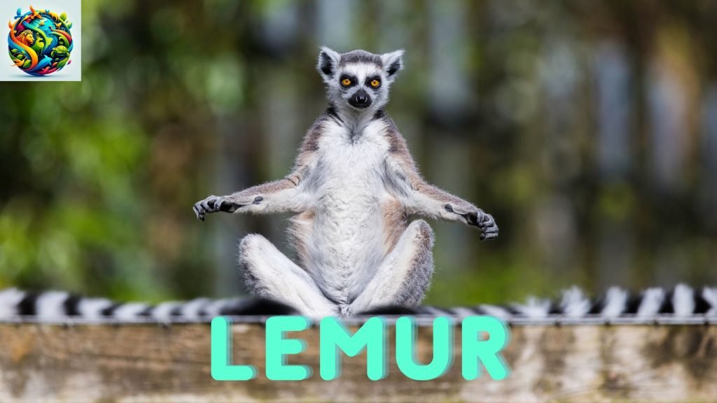 lemurs