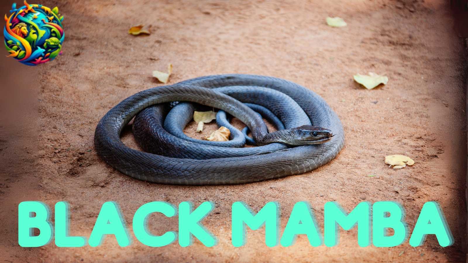 Black Mamba: Nature's Deadliest Serpent