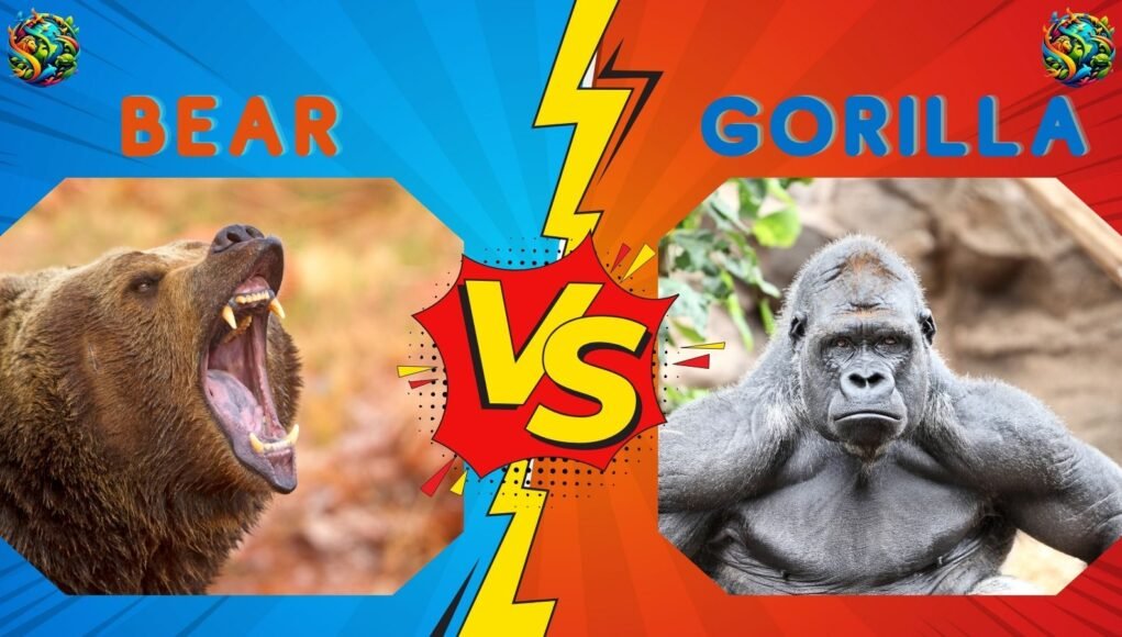 bear vs Gorilla