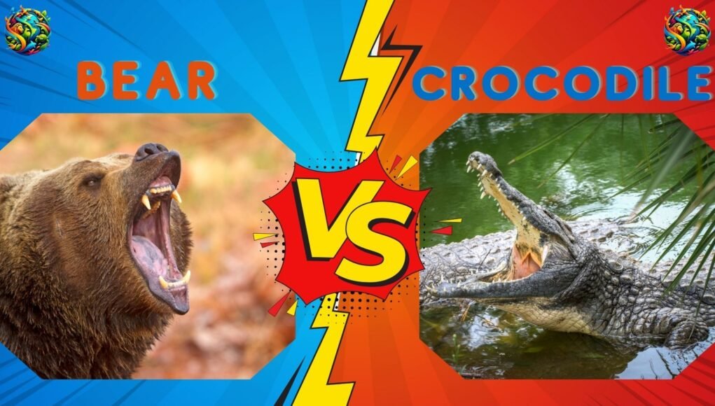 bear vs crocodile