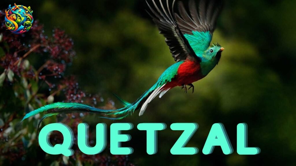 quetzal