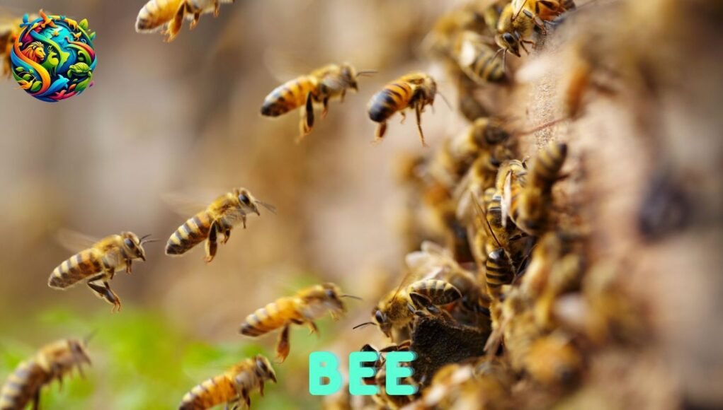 bee