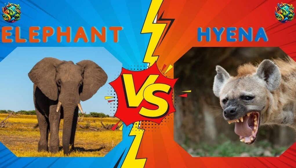 elephant-vs-hyena elephant vs hyena